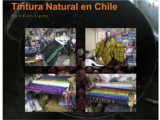 4 3
P u e r t o M o n t t - A n g e lm ó
 