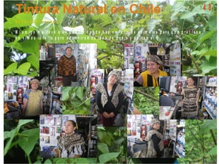 S a q u i S ili - E c u a d o r
M i a m ig o m e lle v ó a u n p u e b lo d o n d e h a y u n f e r ia d e a n im a le s p a r a c o m p r a r la n a ,
n o v im o s la f e r ia p e r o e n c o n t r a m o s la n a d e o v e ja y d e lla m a .
4 8
 