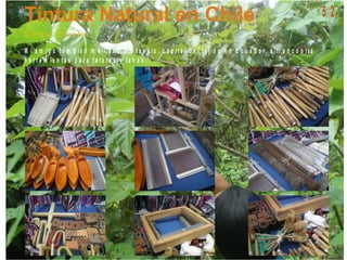 O t a v a lo - E c u a d o r
M i a m ig o t a m b ié n m e lle v ó a O t a v a lo , c a p it a l d e l t e jid o e n E c u a d o r, a llí e n c o n t r é
h e r r a m ie n t a s p a r a t e la r e s y la n a s .
5 2
 