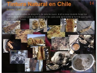 M a m iñ a - Ú lt im o s t e ñ id o s
T a m b ié n h ic e p r u e b a s d e e c o p r in t y d e c o la d e c u e r o , m e t í a c o c e r d u r a n t e h o r a s lo s
c u e r o s d e lla m a c u y o p e lo n o s e r v í a p a r a h ila r, p a r a e s t o a p r o v e c h é la h o r n illa q u e h a b í a
c o m p r a d o e n C u s c o .
5 4
 