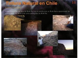 M a m iñ a - P e tr o g lif o s
U n o s d í a s a n t e s d e ir m e d e M a m iñ a t u v e la s u e r t e q u e u n M a m iñ a n o a p a s io n a d o d e
a r q u e o lo g ia m e lle v e a v e r u n o s p e t r o g lif o s d e M a m iñ a .
5 5
 