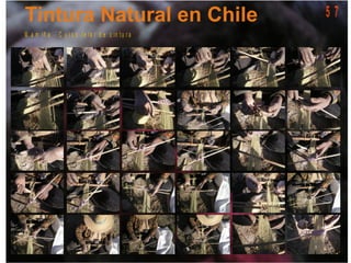 M a m iñ a - C u r s o t e la r d e c in t u r a
5 7
 