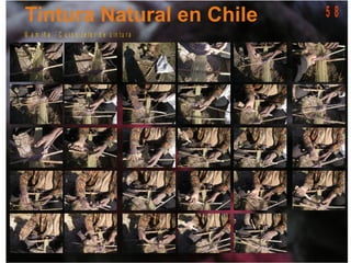 M a m iñ a - C u r s o t e la r d e c in t u r a
5 8
 