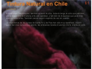 C o n c lu s ió n
E n d o s a ñ o s , v ia jé m u c h o , t a m b ié n a p r e n d í m u c h o , t o d a v í a t e n g o m u c h o q u e p r a c t ic a r,
a h o r a d is p o n d r é d e m a t e r ia p r im a e n c a n t id a d , y t a m b ié n d e m á q u in a s q u e p e r m it ir á n
n u e v o s d e s a r r o llo s . T a m b ié n p ie n s o s e g u ir v ia ja n d o d e v e z e n c u a n d o .
L a e x p e r ie n c ia d e lo s c u r s o s d e S a n t a F e y d e P ic a h a n s id o m u y b e n é f ic a s , e s p e r o
p o d e r d a r m á s c u r s o s m u y p r o n t o , la s a r t e s a n a s lo c a le s m u e s t r a n c ie r t o in t e r é s e n e s t o .
6 1
 