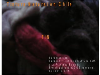 T in t u r a N a t u r a l e n C h ile
F IN
P a r a m á s f o t o s
F a c e b o o k : F r a n c o is e G a b r ie lle R a ff i
o L a F r a n c e s a B ig o t u d a
E - m a il: p u b lic o b r e 2 0 0 0 @ y a h o o . e s
C e l. 8 3 1 6 7 0 9 1
 