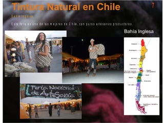 B a h ia I n g le s a
E s t a f e r ia e s u n a d e la s m e jo r e s d e C h ile , c o n p u r o s a r t e s a n o s p r o d u c t o r e s .
7
 