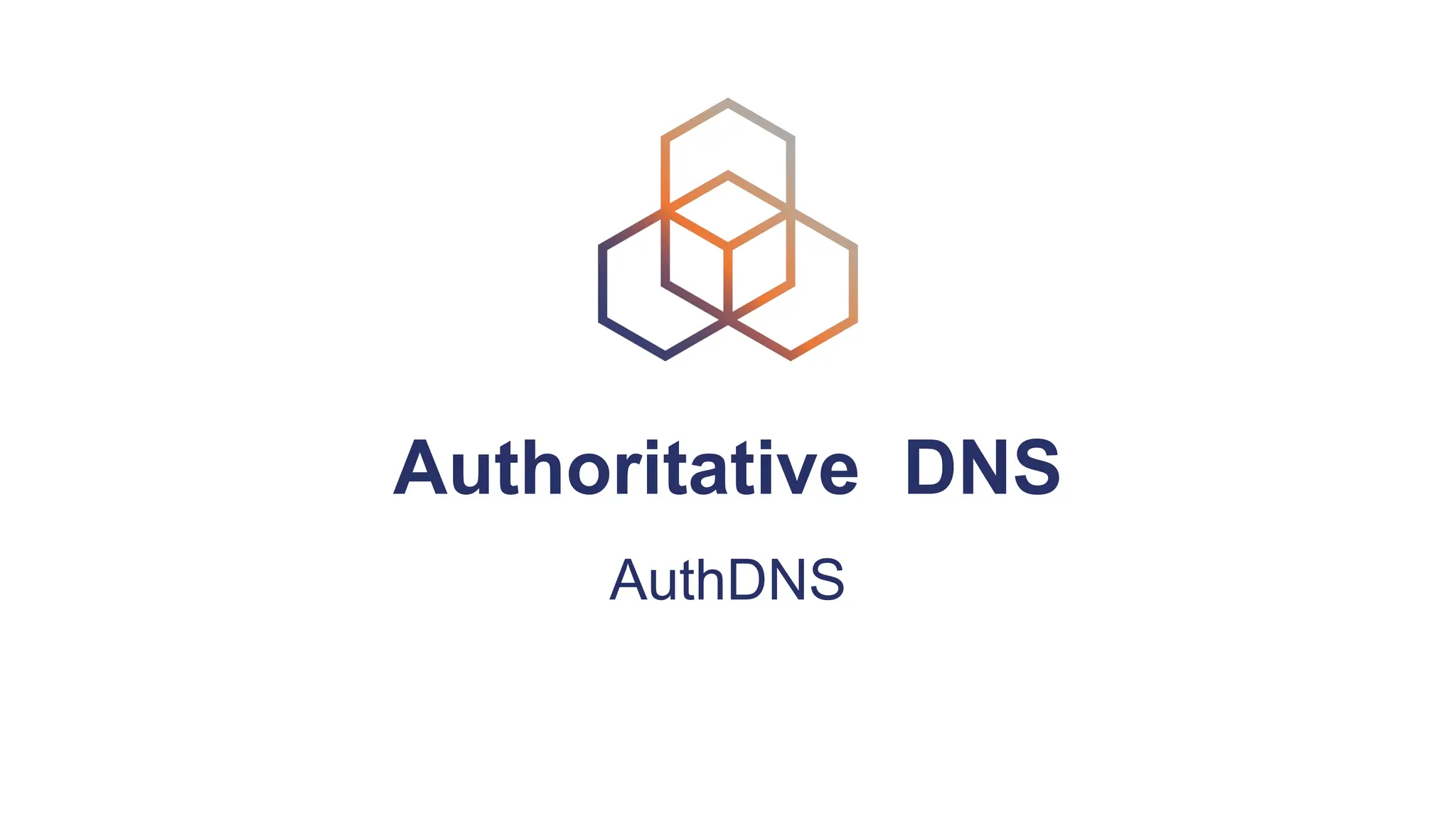 Authoritative DNS
AuthDNS
 