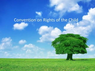 Convention on Rights of the Child

 