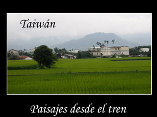 Taiwán 
Paisajes desde el tren 
 