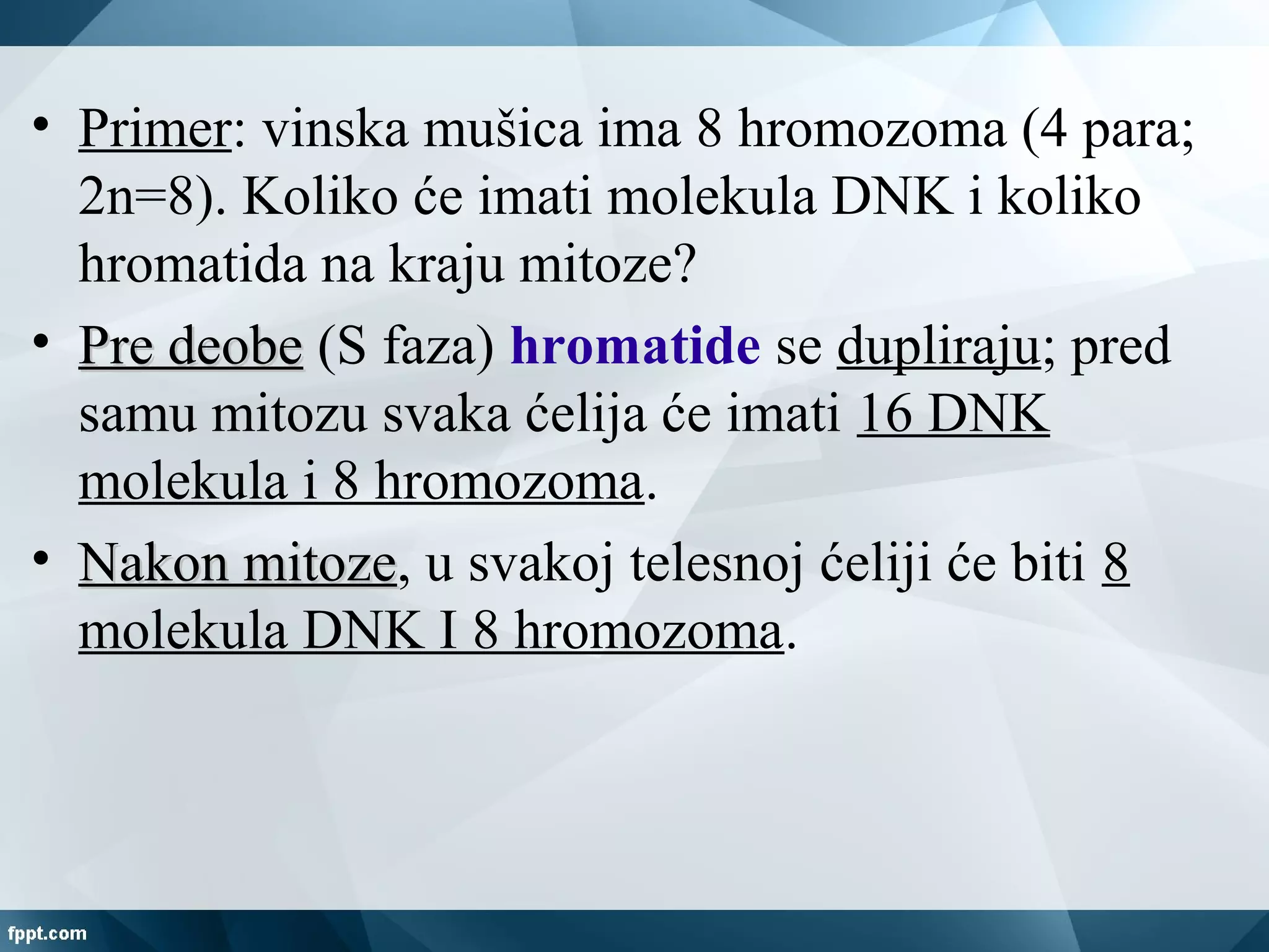 • Primer: vinska mušica ima 8 hromozoma (4 para;
2n=8). Koliko će imati molekula DNK i koliko
hromatida na kraju mitoze?
• Pre deobePre deobe (S faza) hromatide se dupliraju; pred
samu mitozu svaka ćelija će imati 16 DNK
molekula i 8 hromozoma.
• Nakon mitozeNakon mitoze, u svakoj telesnoj ćeliji će biti 8
molekula DNK I 8 hromozoma.
 