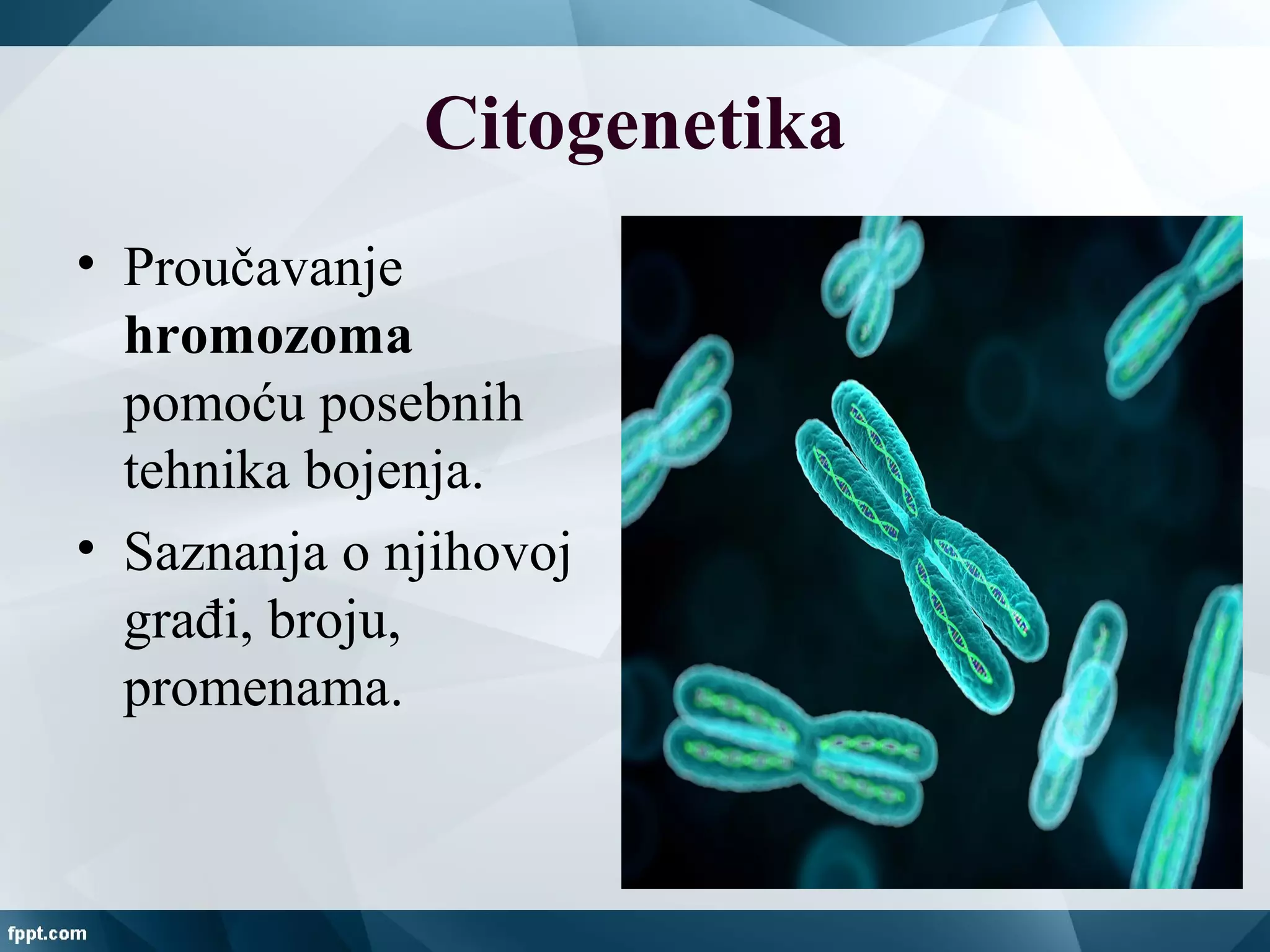 Citogenetika
• Proučavanje
hromozoma
pomoću posebnih
tehnika bojenja.
• Saznanja o njihovoj
građi, broju,
promenama.
 