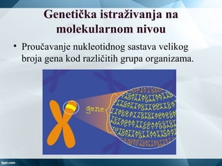 Genetička istraživanja na
molekularnom nivou
• Proučavanje nukleotidnog sastava velikog
broja gena kod različitih grupa organizama.
 
