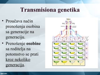 Transmisiona genetika
• Proučava način
prenošenja osobina
sa generacije na
generaciju.
• Prenošenje osobine
sa roditelja na
potomstvo se prati
kroz nekoliko
generacija.
 