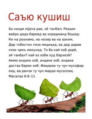 Tajik Motivational Diligence Tract.pdf