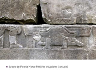 Juego de Pelota Norte-Motivos acuaticos (tortuga)