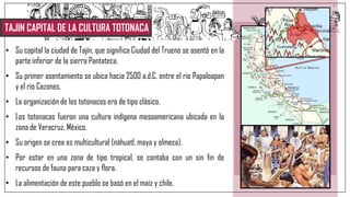 TAJIN CAPITAL DE LA CULTURA TOTONACA
• Su capital la ciudad de Tajín, que significa Ciudad del Trueno se asentó en la
parte inferior de la sierra Pantateca.
• Su primer asentamiento se ubica hacia 2500 a.d.C. entre el rio Papaloapan
y el rio Cazones.
• La organización de los totonacos era de tipo clásico.
• Los totonacas fueron una cultura indígena mesoamericana ubicada en la
zona de Veracruz, México.
• Su origen se cree es multicultural (náhuatl, maya y olmeca).
• Por estar en una zona de tipo tropical, se contaba con un sin fin de
recursos de fauna para caza y flora.
• La alimentación de este pueblo se basó en el maíz y chile.
 