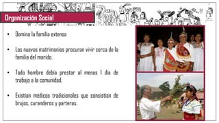 Organización Social
• Domina la familia extensa
• Los nuevos matrimonios procuran vivir cerca de la
familia del marido.
• Todo hombre debía prestar al menos 1 día de
trabajo a la comunidad.
• Existían médicos tradicionales que consistían de
brujos, curanderos y parteras.
 