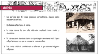 VIVIENDA
• Las paredes son de varas colocadas verticalmente, algunas están
recubiertas con lodo.
• Hechas de caña y hojas de palma.
• La casa consta de una sola habitación empleada como cocina y
dormitorio.
• En ciertas zonas las casas tienen un tapanco para almacenar maíz y para
colgar las mazorcas que se emplearán como semillas.
• Las casas católicas cuentan con un altar en el que colocan imágenes
religiosas.
 