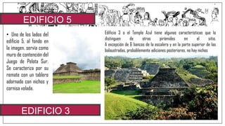 EDIFICIO 5
• Uno de los lados del
edificio 5, al fondo en
la imagen, servía como
muro de contención del
Juego de Pelota Sur.
Se caracteriza por su
remate con un tablero
adornado con nichos y
cornisa volada.
EDIFICIO 3
Edificio 3 o el Templo Azul tiene algunas características que lo
distinguen de otras pirámides en el sitio.
A excepción de 6 bancos de la escalera y en la parte superior de las
balaustradas, probablemente adiciones posteriores, no hay nichos
 