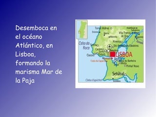 Desemboca en
el océano
Atlántico, en
Lisboa,
formando la
marisma Mar de
la Paja
 