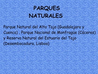 PARQUES
             NATURALES
Parque Natural del Alto Tajo (Guadalajara y
Cuenca) , Parque Nacional de Monfragüe (Cáceres)
y Reserva Natural del Estuario del Tajo
(Desembocadura, Lisboa)
 