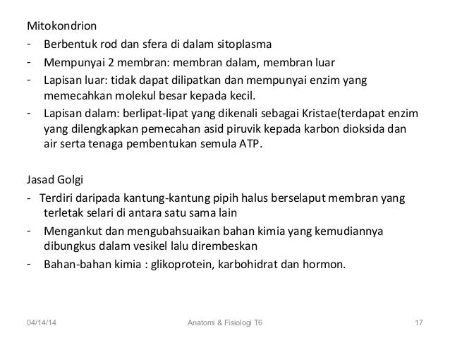 Sains Sukan Stpm Anatomi Fisiologi