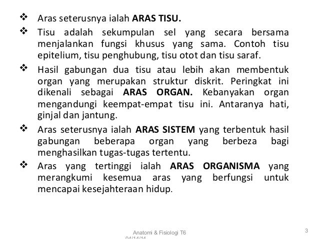 Sains Sukan Stpm Anatomi Fisiologi