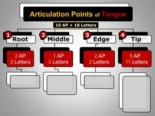 Articulation Points of Tongue
10 AP + 18 Letters

1

Root
2 AP
2 Letters

2

Middle
1 AP
3 Letters

3

Edge

2 AP
2 Letters

4

Tip
5 AP
11 Letters

 