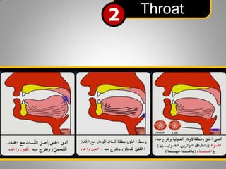 2

Throat

 