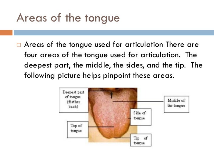 Tajweed lessonspoints ofarticulationenglish