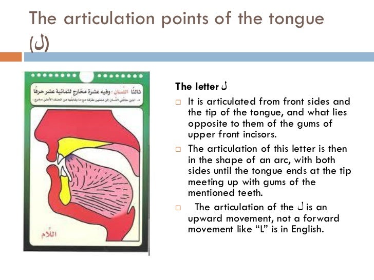 Tajweed lessonspoints ofarticulationenglish