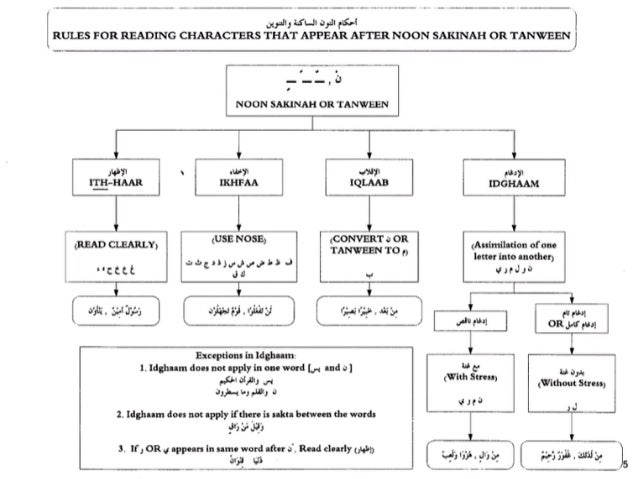 Tajweed untangled