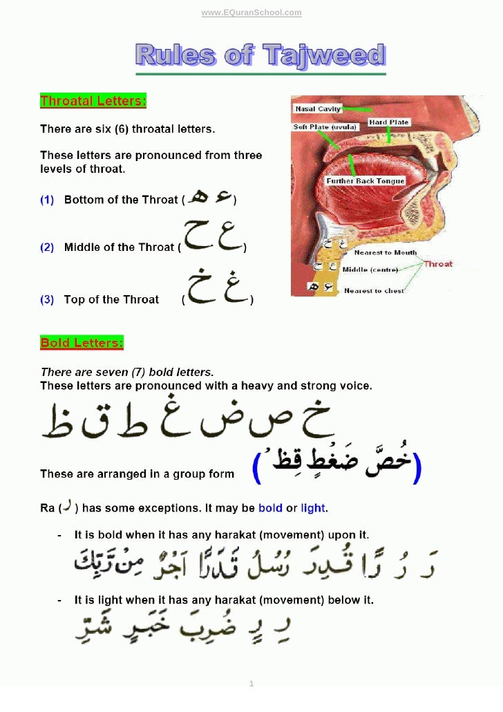 tajweed rules in english pdf free download