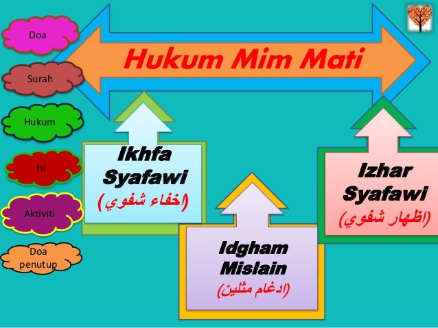 Hukum Tajwid Mim Mati - Contoh hukum mim mati, yaitu yang diberi