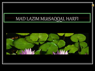 MAD LAZIM MUtSAQQAL HARFI
 