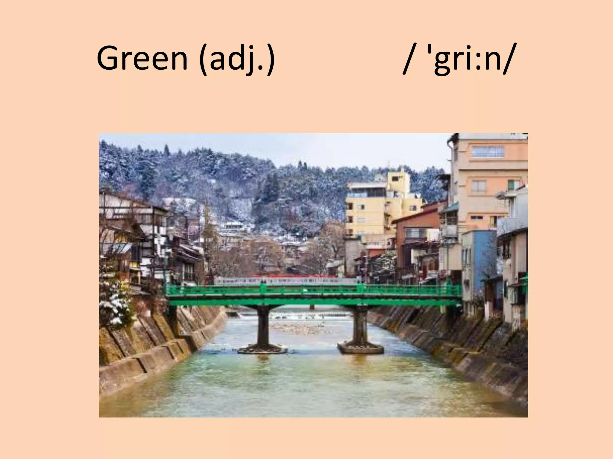 Green (adj.)

/ 'gri:n/

 