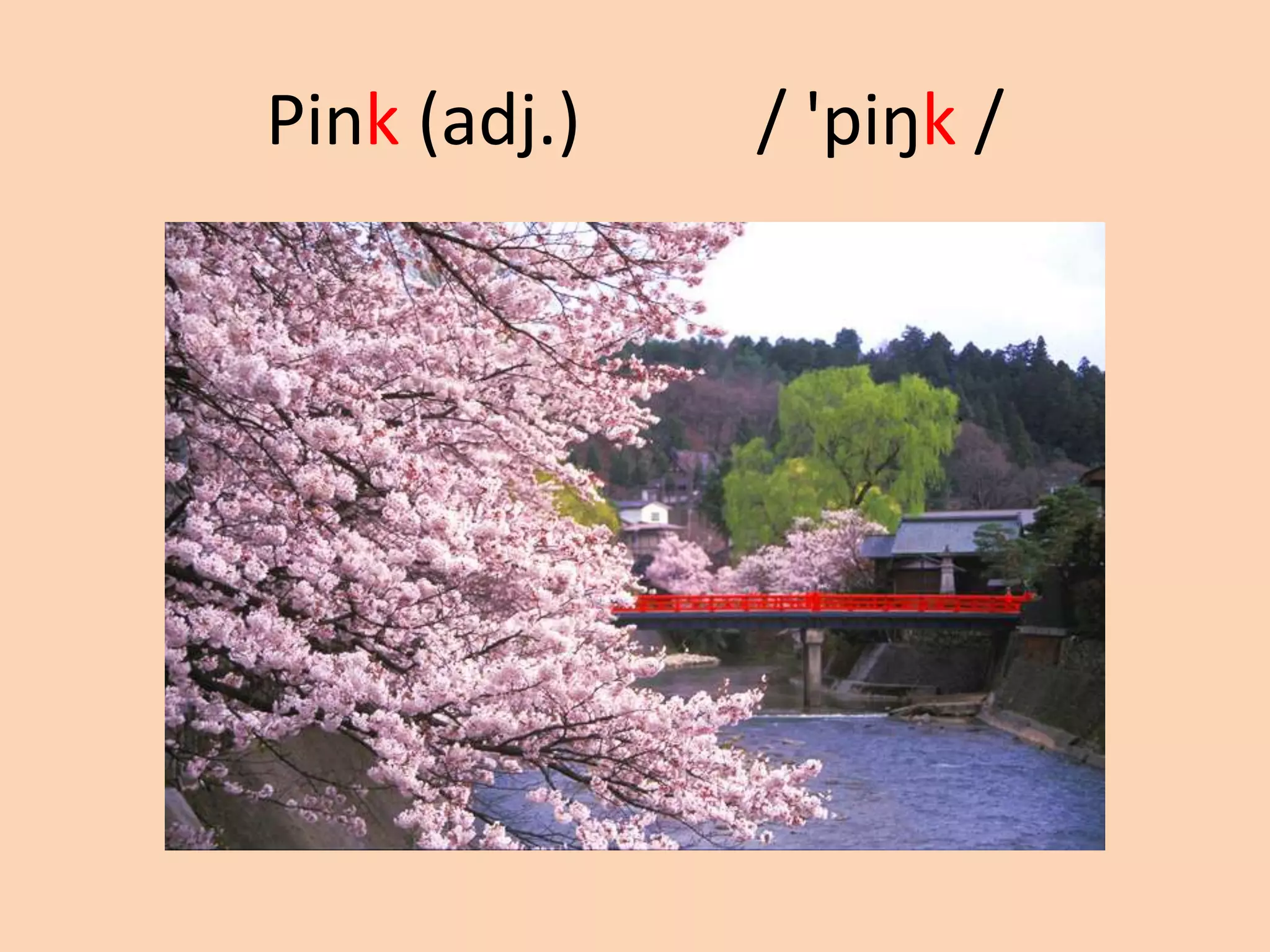 Pink (adj.)

/ 'piŋk /

 