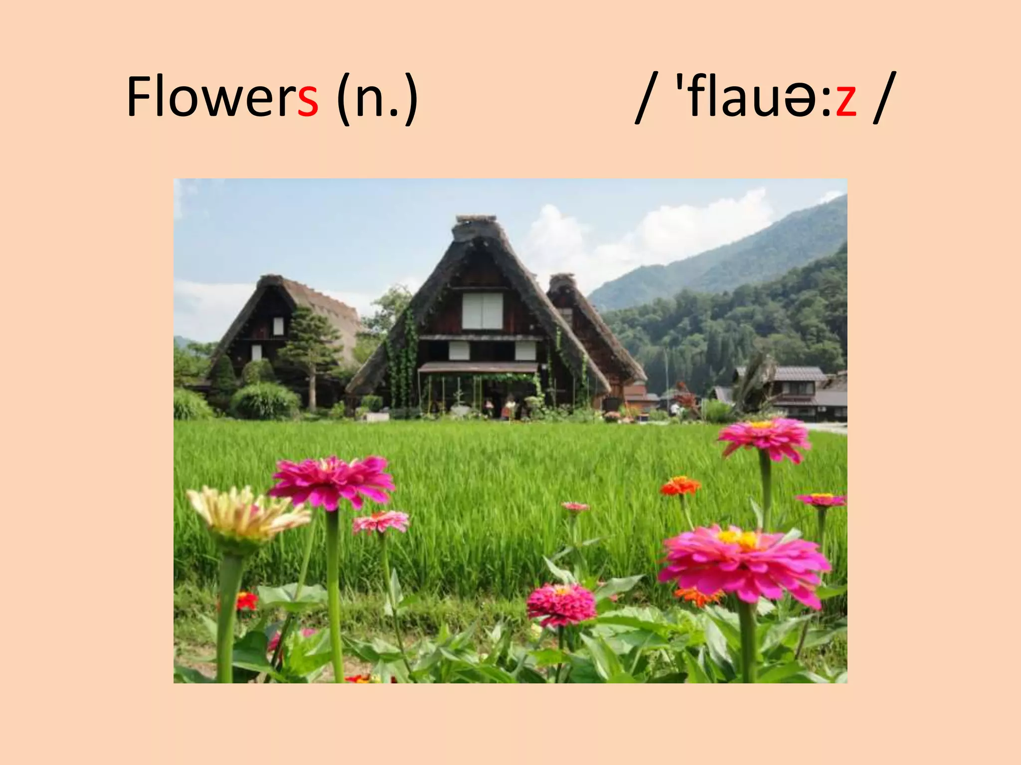 Flowers (n.)

/ 'flauə:z /

 