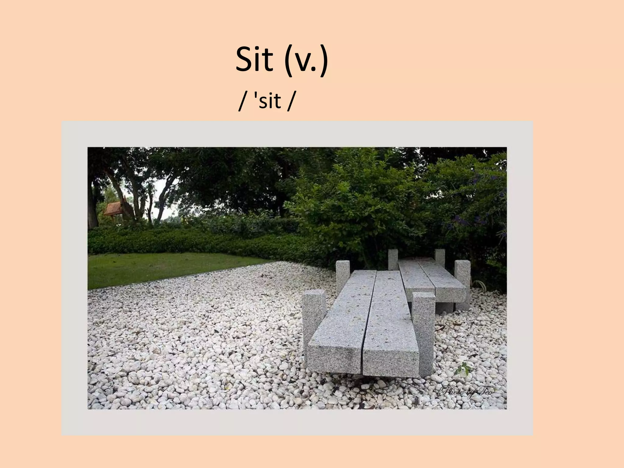 Sit (v.)
/ 'sit /

 