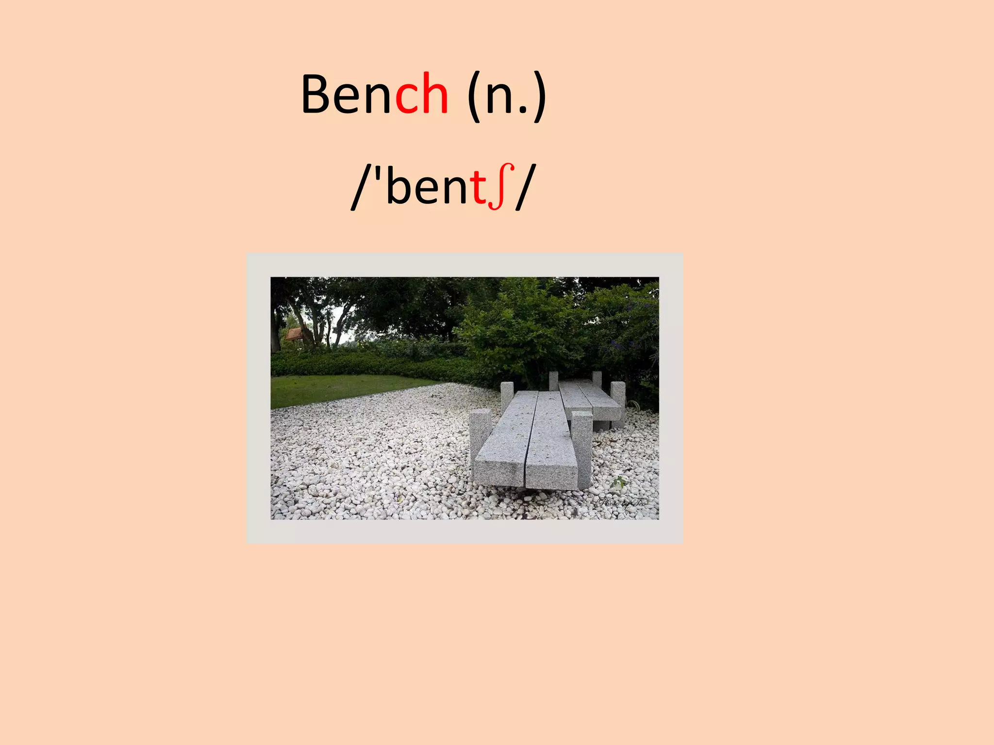 Bench (n.)
/'bentʃ/

 