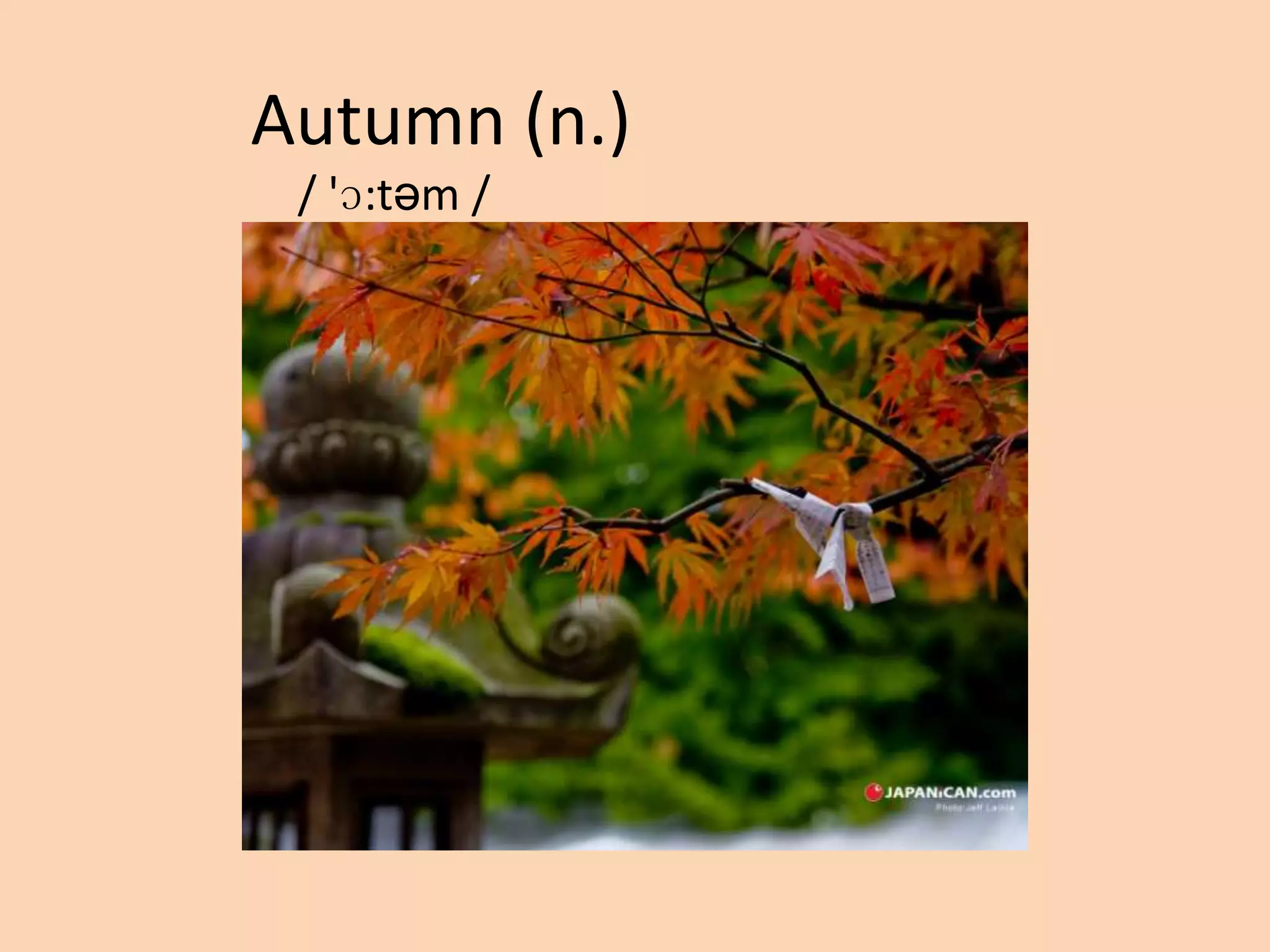 Autumn (n.)
/ 'ɔ:təm /

 