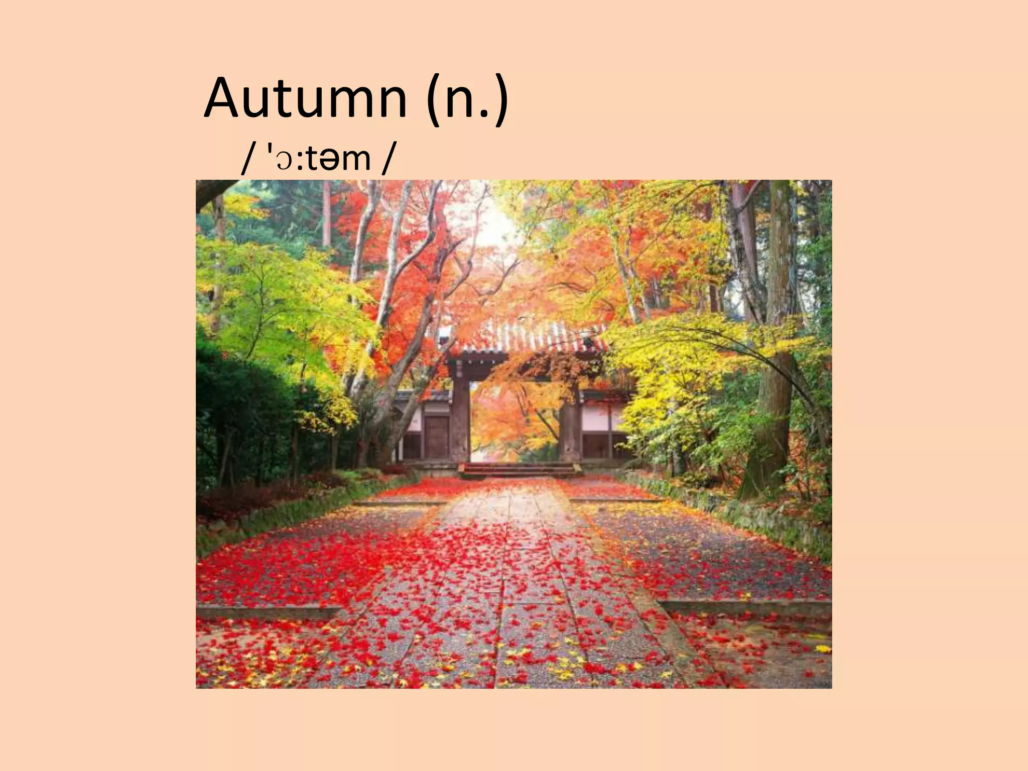 Autumn (n.)
/ 'ɔ:təm /

 