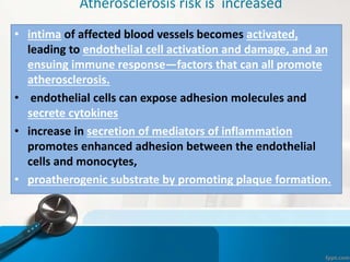 Atherosclerosis risk is increased
• intima of affected blood vessels becomes activated,
leading to endothelial cell activation and damage, and an
ensuing immune response—factors that can all promote
atherosclerosis.
• endothelial cells can expose adhesion molecules and
secrete cytokines
• increase in secretion of mediators of inflammation
promotes enhanced adhesion between the endothelial
cells and monocytes,
• proatherogenic substrate by promoting plaque formation.
 