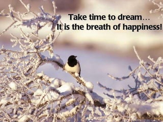 Take time to dream… It is the breath of happiness!