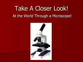 Take A Closer Look! At the World Through a Microscope! 