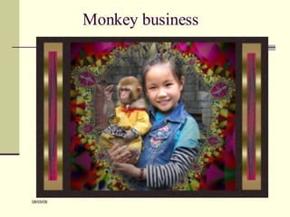 Monkey business 