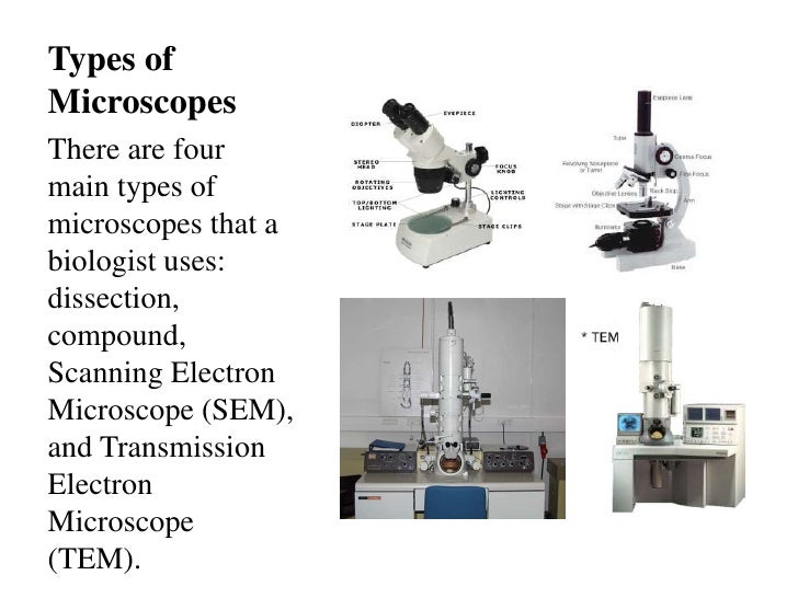 Different Types Of Microscopes And Their Uses Different Types Of Microscopes And Their Uses