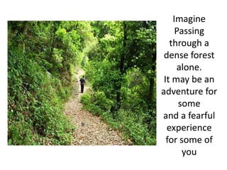 Imagine Passing through a dense forest alone. It may be an adventure for some and a fearful experience for some of you 