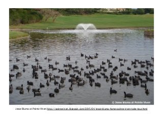 Jesse Bluma at Pointe Viven http://pointeviven.blogspot.com/2015/01/jesse-bluma-home-pointe-viven-take-tour.html
 