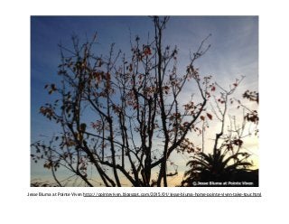 Jesse Bluma at Pointe Viven http://pointeviven.blogspot.com/2015/01/jesse-bluma-home-pointe-viven-take-tour.html
 